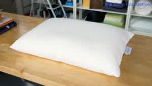 Boll & Branch Down Chamber Pillow